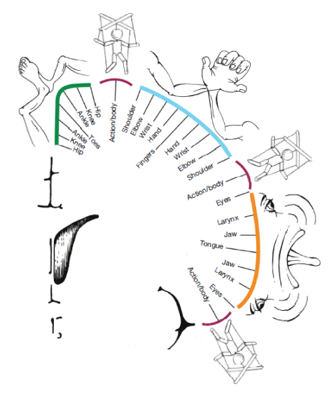 体性認知行動療法